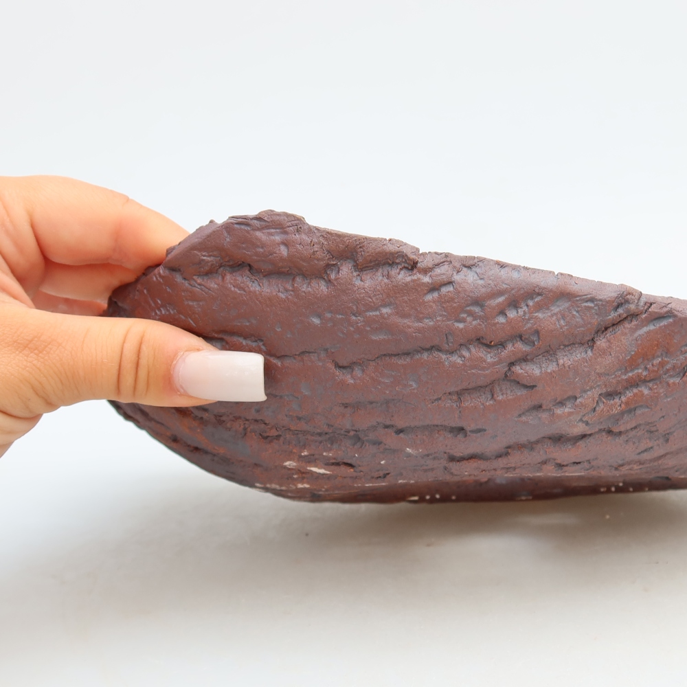 Ceramiczna skorupa  31,5 x 19,5 x 7,5 cm, kolor brązowy