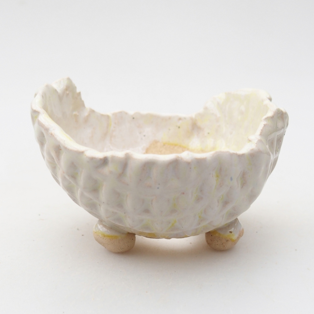 Ceramiczna muszla 8 x 8 x 5 cm, kolor zielony