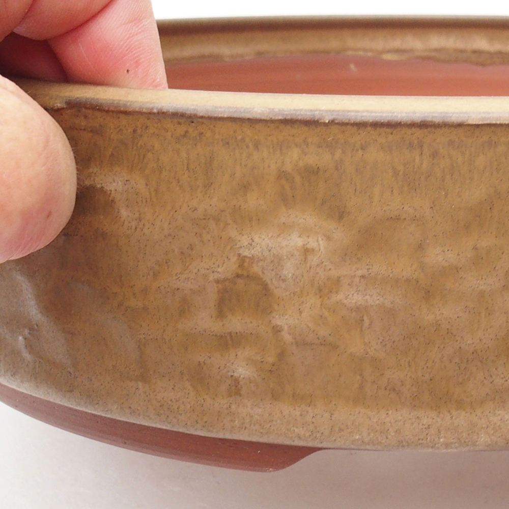 Ceramiczna miska bonsai 24,5 x 24,5 x 6,5 cm, kolor beżowy