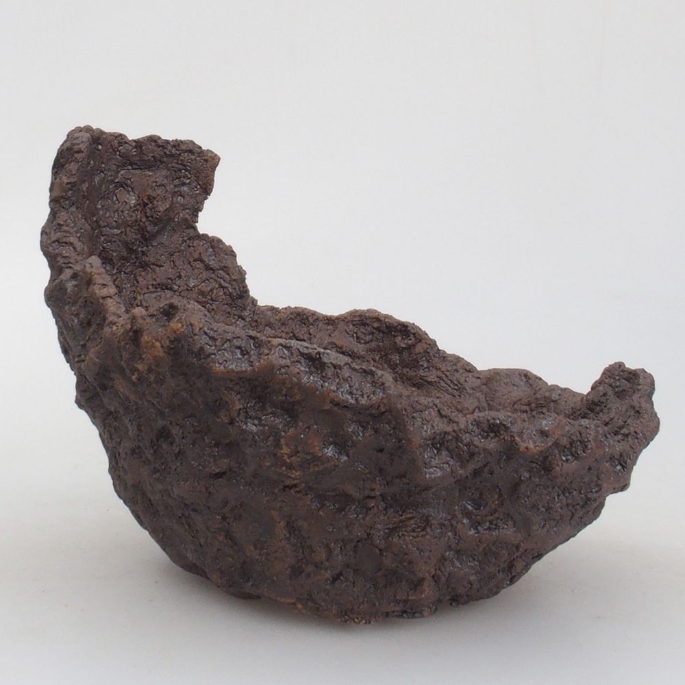Muszla ceramiczna 17 x 14 x 14,5 cm, kolor brązowy