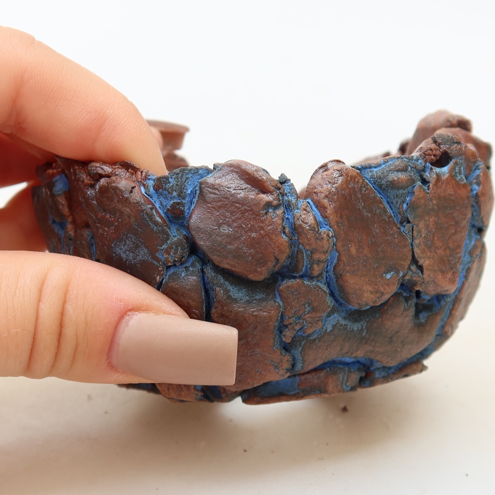 Ceramiczna skorupka 9 x 8,5 x 5 cm, kolor niebieski