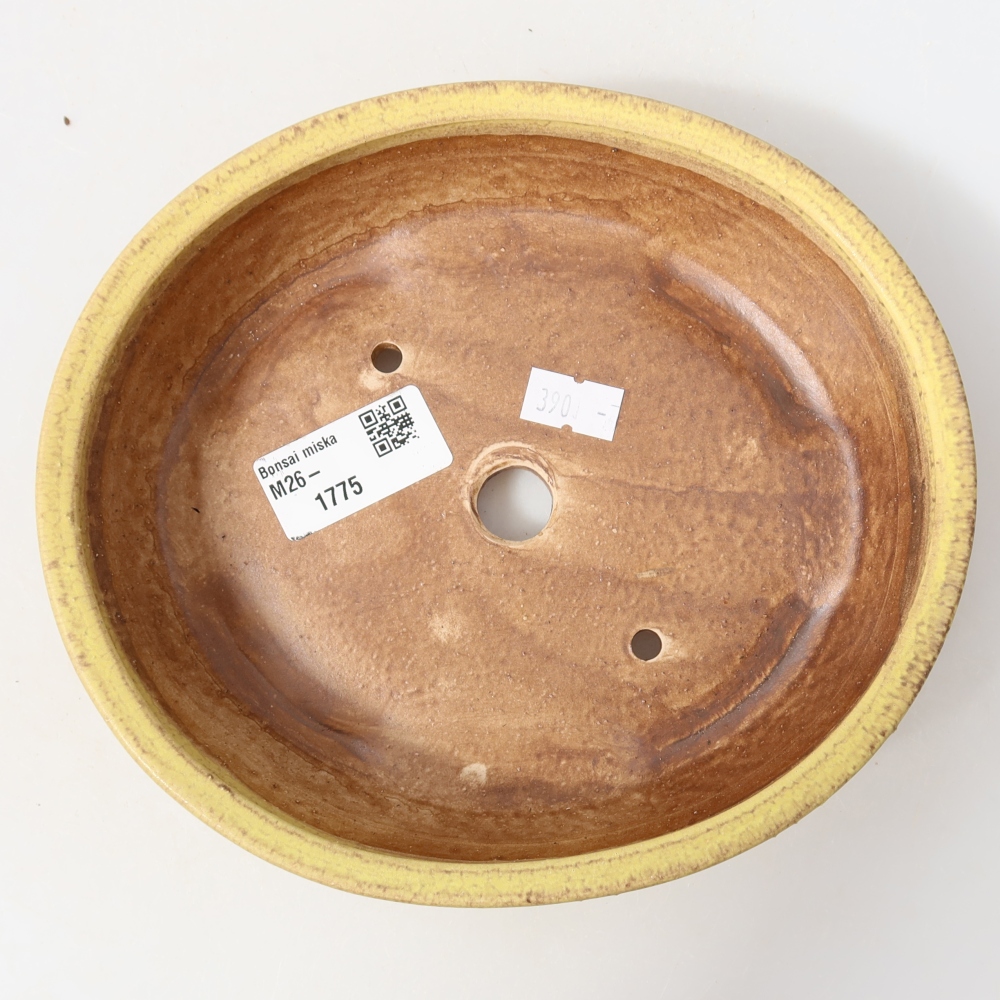 Ceramiczna miska do bonsai 18,5 x 16,5 x 4,5 cm, kolor żółty