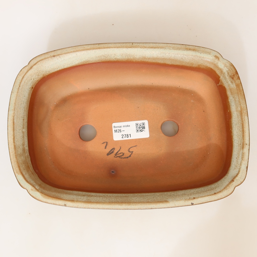 Ceramiczna miska  24 x 17 x 6 cm, kolor beżowy