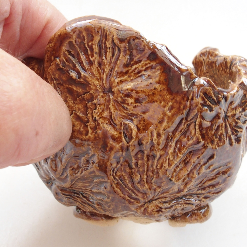 Muszla ceramiczna 7 x 7 x 7,5 cm, kolor brązowy