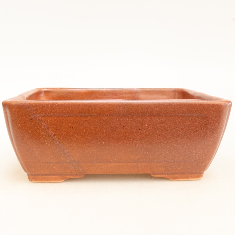 Ceramiczna miska do bonsai 16 x 12 x 6 cm, bordowa