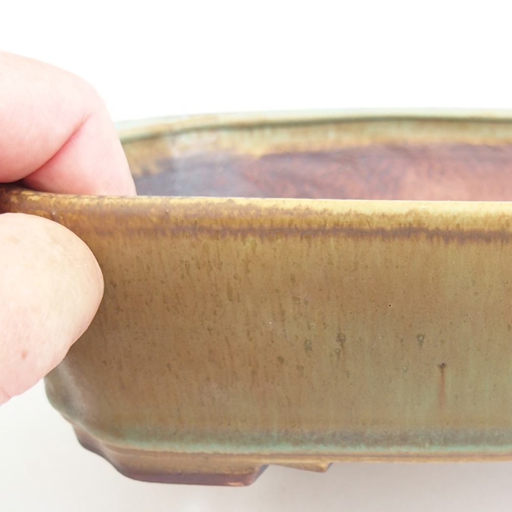 Ceramiczna miska do bonsai 21 x 18 x 6 cm, zielona