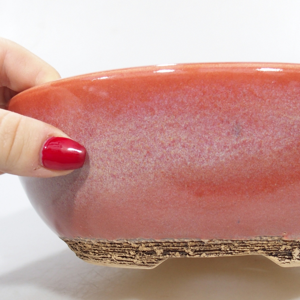 Ceramiczna miska do bonsai 20,5 x 20,5 x 7 cm, kolor czerwony