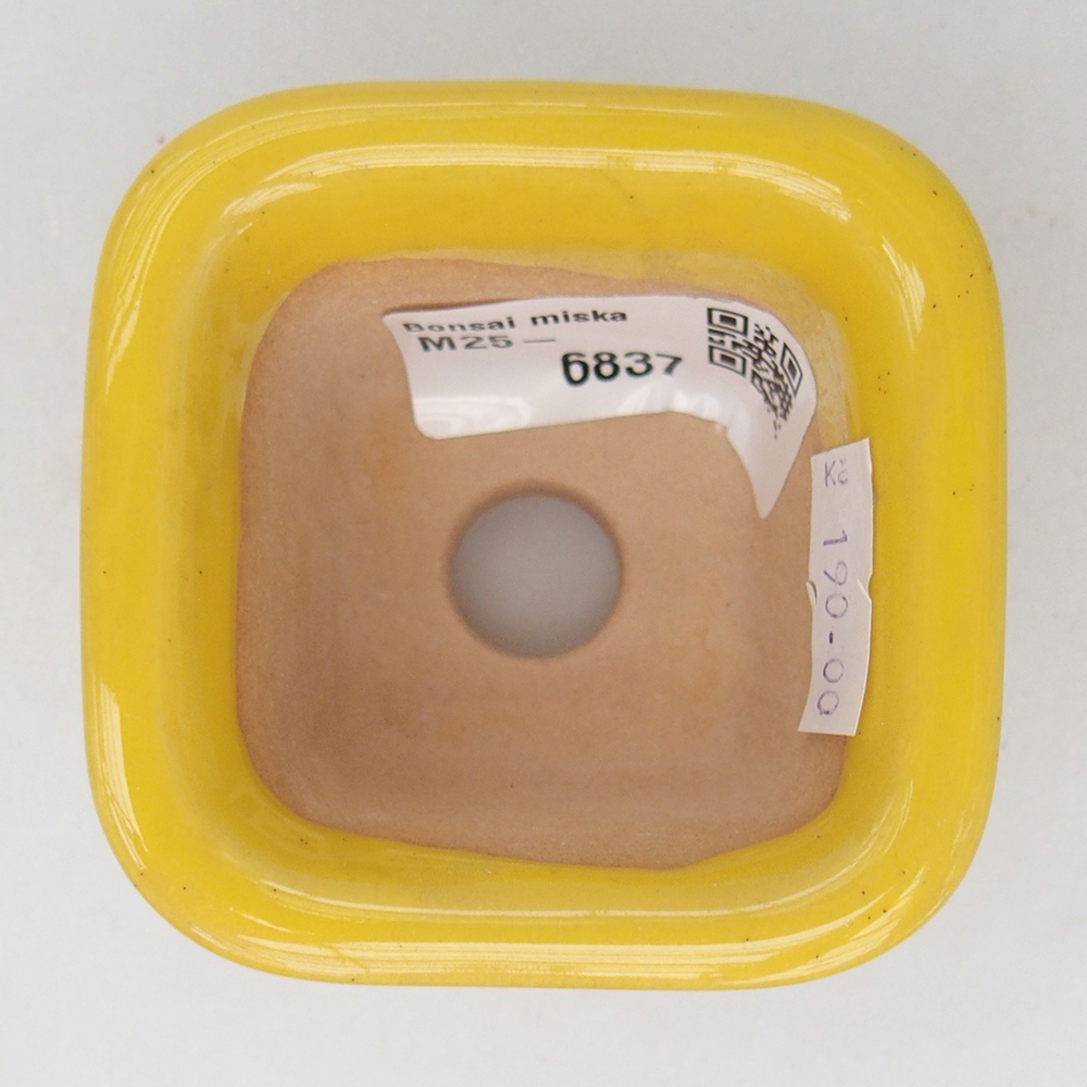 Ceramiczna miska do bonsai 6,5 x 6,5 x 5 cm, żółta