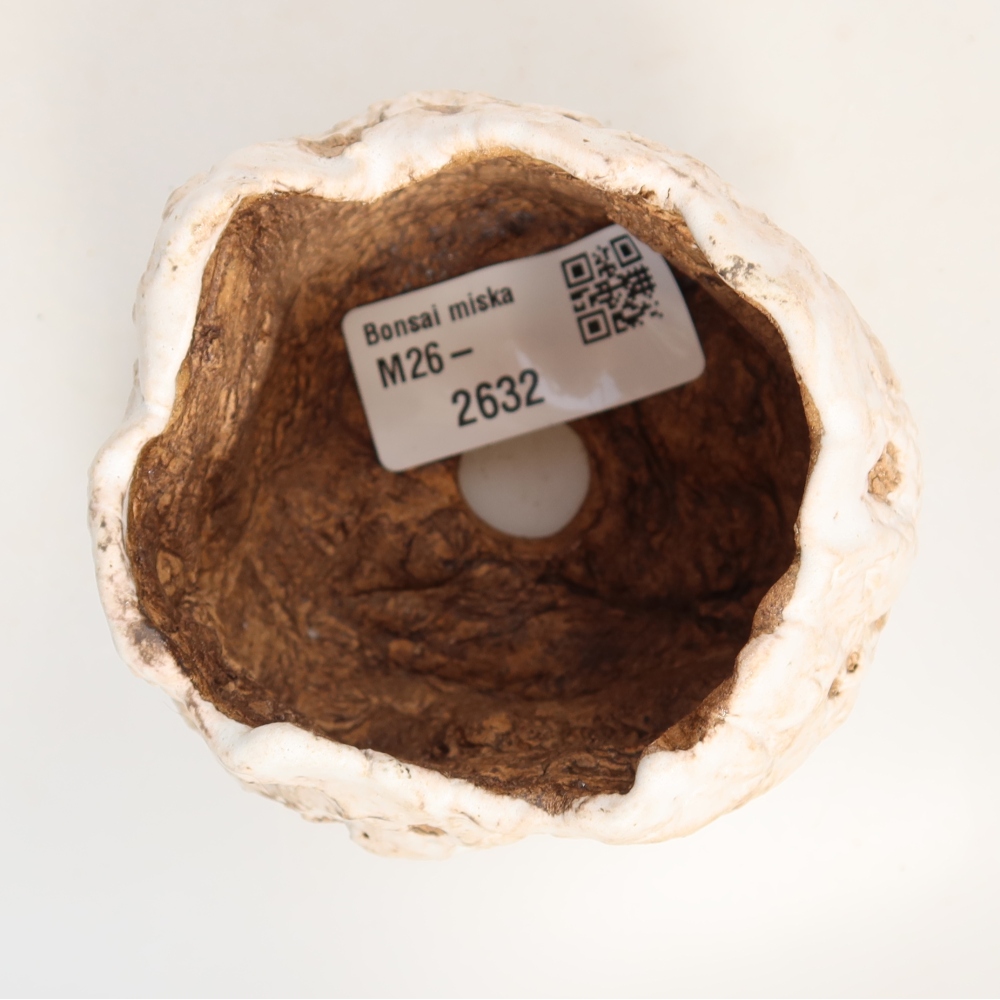 Ceramiczna skorupka  7,5 x 7 x 6,5 cm, kolor biały