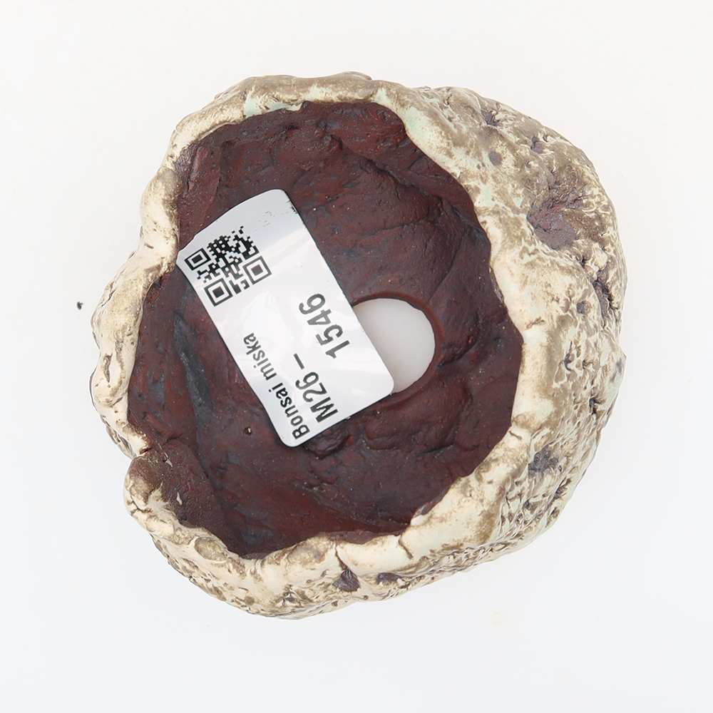 Ceramiczna skorupka  7 x 6 x 6 cm, kolor brązowo-biały