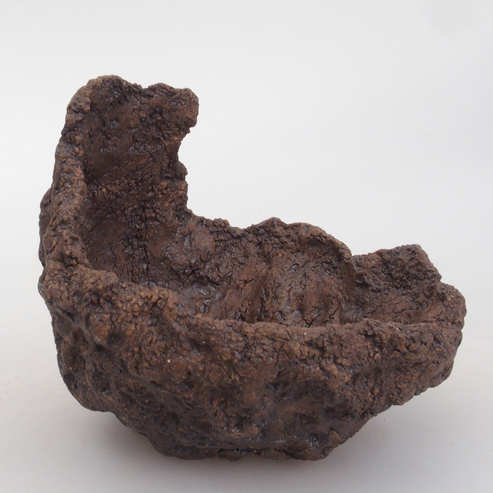 Muszla ceramiczna 9 x 8 x 9,5 cm, kolor brązowy