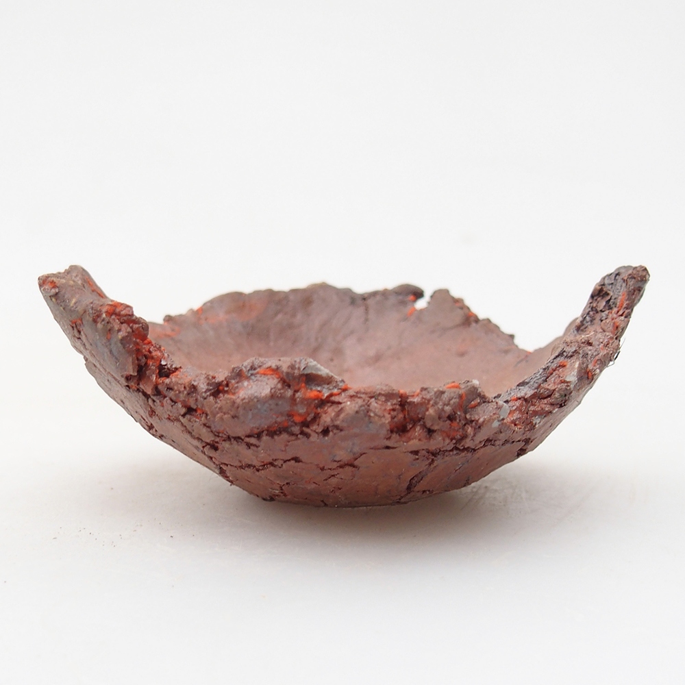 Ceramiczna muszla 7 x 7 x 3 cm, kolor pomarańczowy