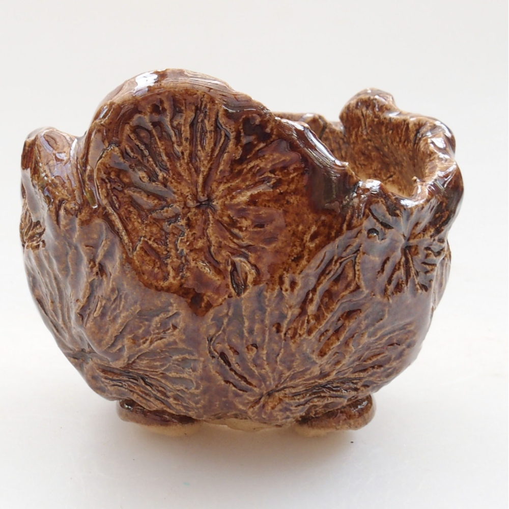 Muszla ceramiczna 7 x 7 x 7,5 cm, kolor brązowy