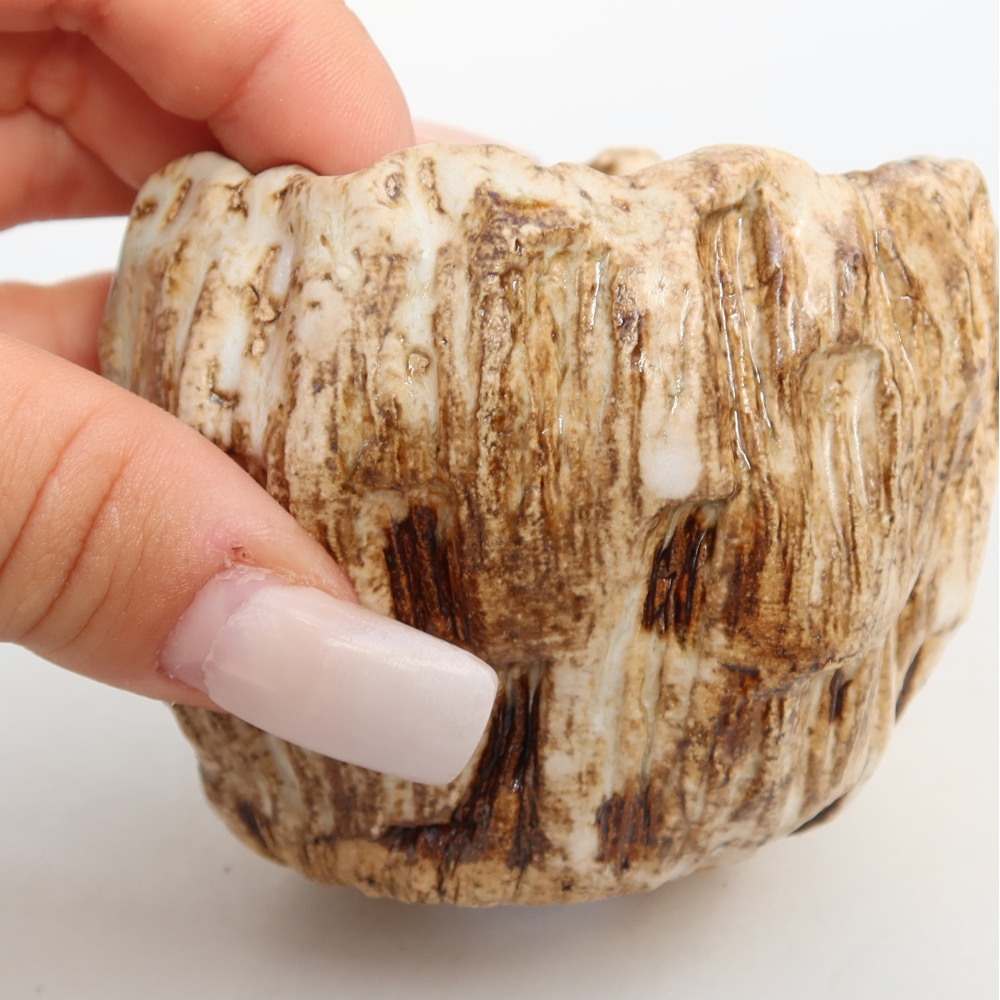 Ceramiczna skorupka  7,5 x 7 x 6,5 cm, kolor biało-brązowy