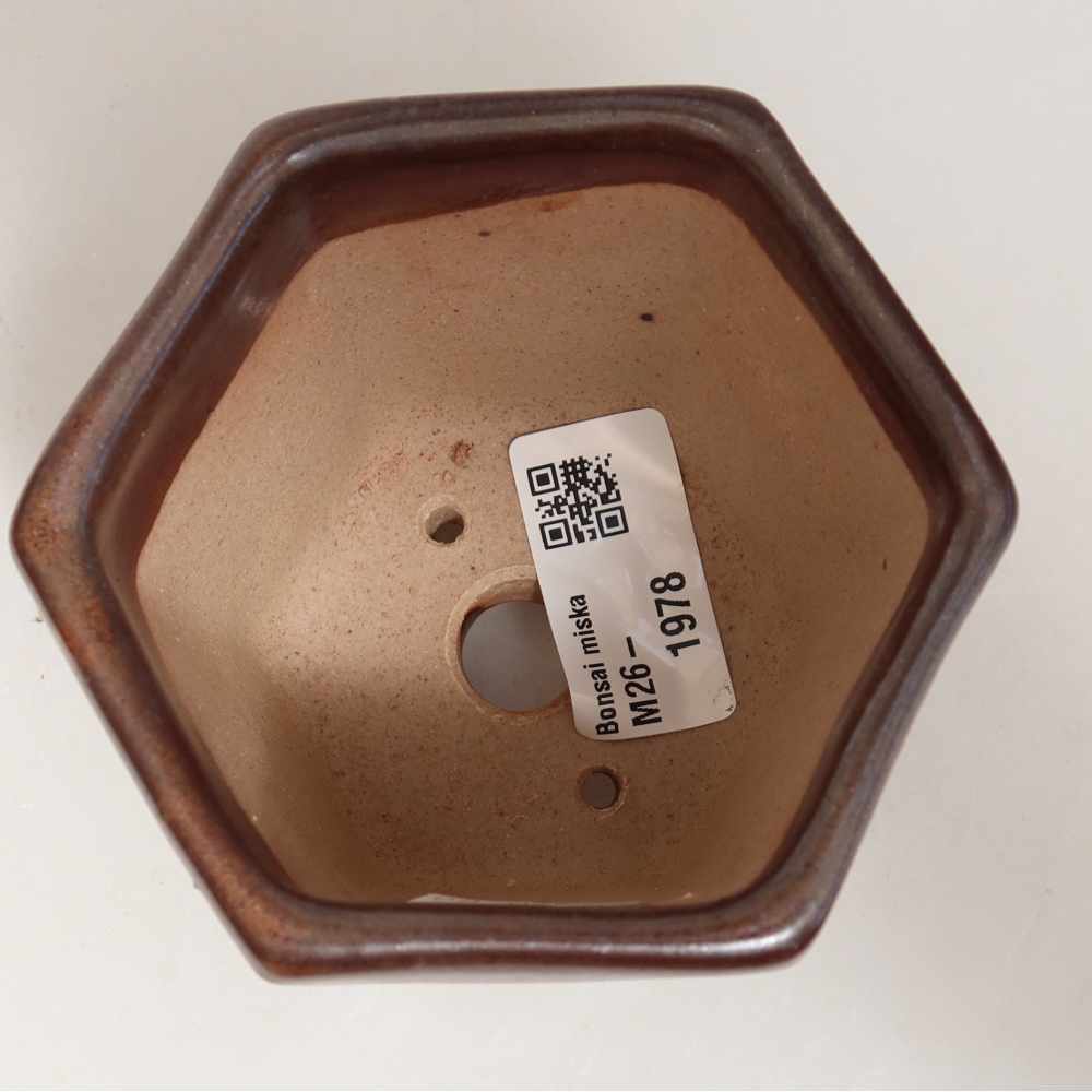 Ceramiczna miska do bonsai 9 x 8,5 x 8 cm, kolor brązowy