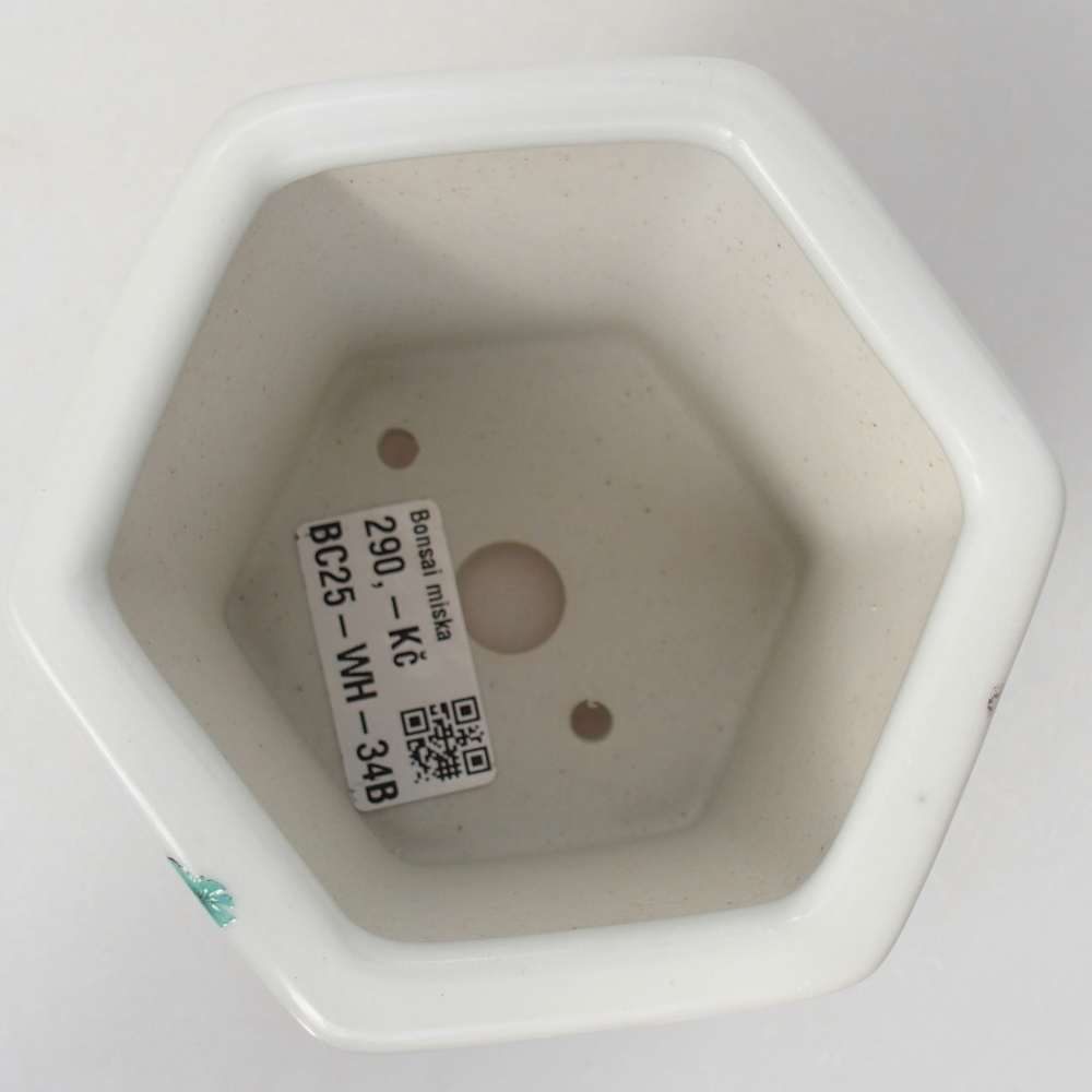 Ceramiczna miska do bonsai 10,5 x 9,5 x 9 cm, kolor biały