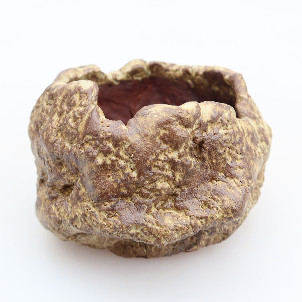 Ceramiczna skorupka  6 x 5 x 5,5 cm, kolor brązowy