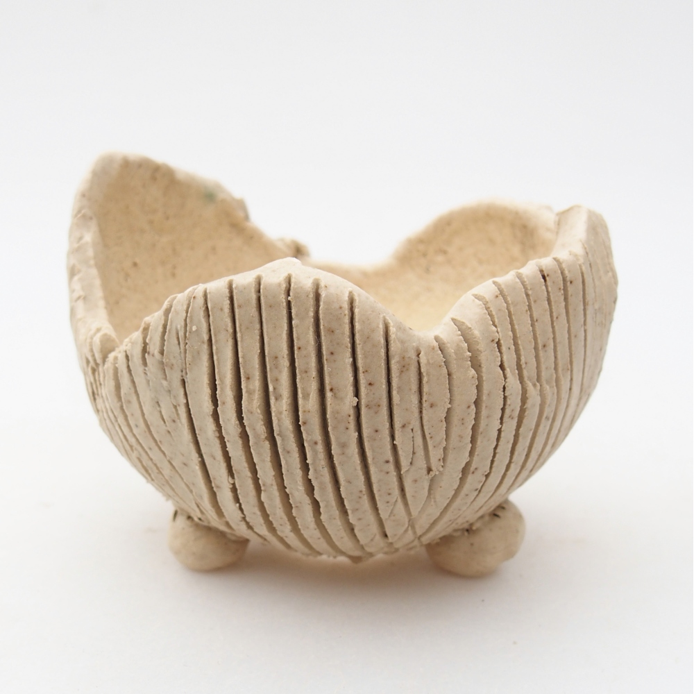 Muszla ceramiczna 9 x 8,5 x 6,5 cm, kolor beżowy