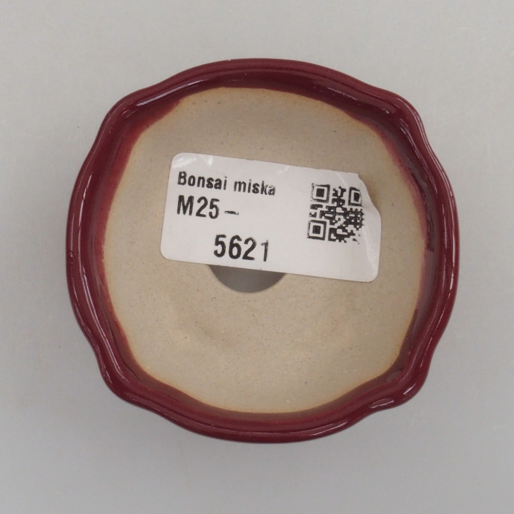 Mini miska bonsai 6 x 6 x 2,5 cm, kolor bordowy