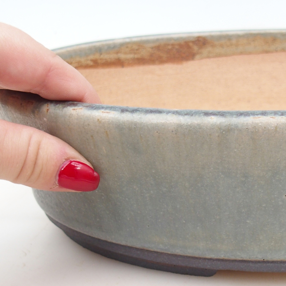 Misa bonsai 27 x 21 x 7,5 cm, kolor niebieski