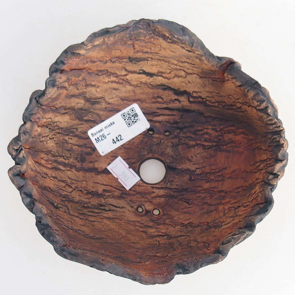 Ceramiczna skorupa 15,5 x 15,5 x 7 cm, kolor zielony