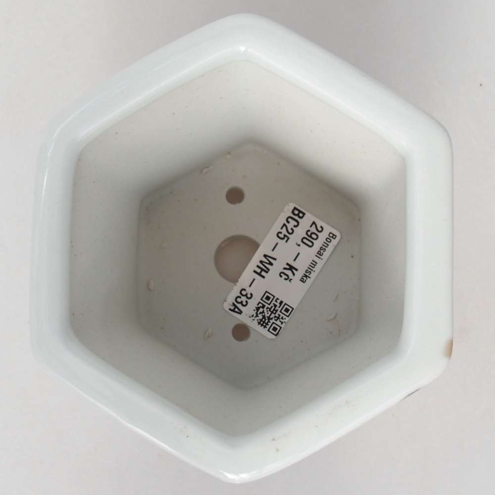 Ceramiczna miska do bonsai 10,5 x 9,5 x 9 cm, kolor biały