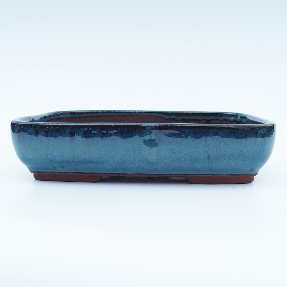 Miska 25 x 18 x 6 cm niebieska