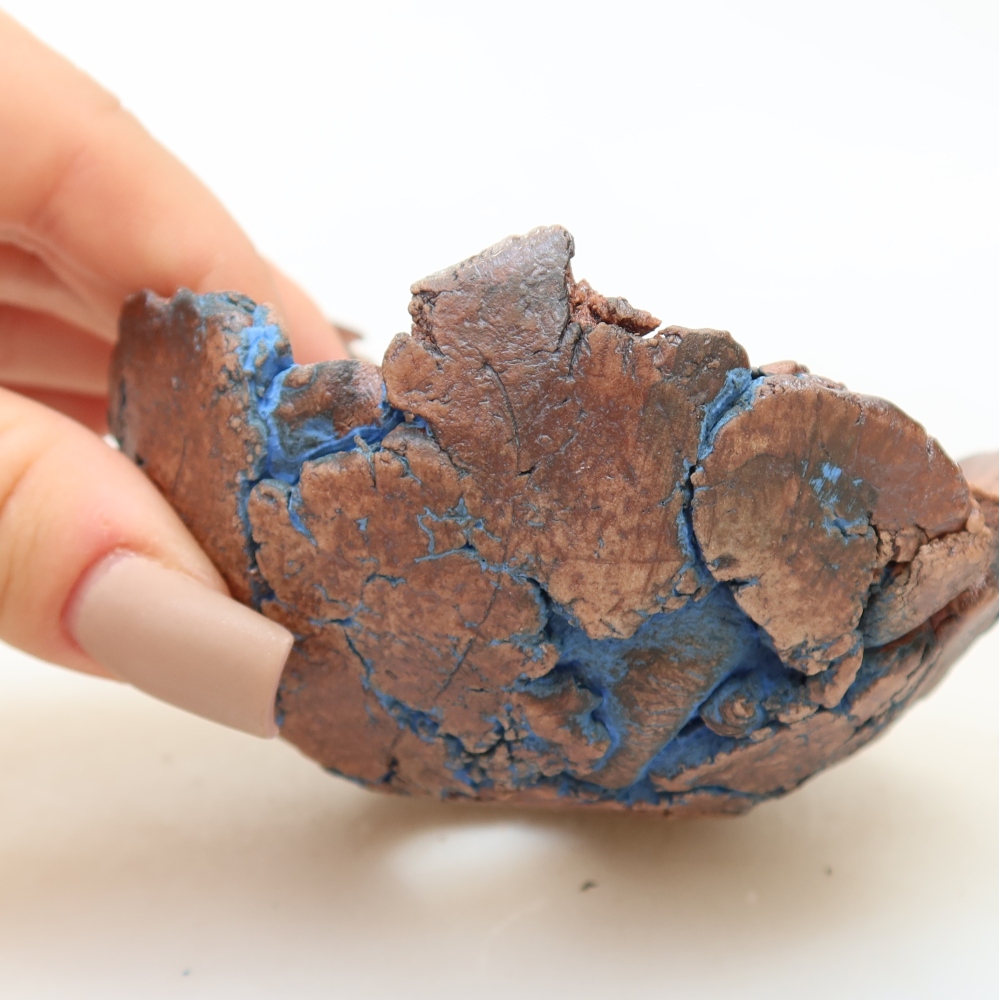 Ceramiczna skorupka 9 x 9 x 5 cm, kolor niebieski