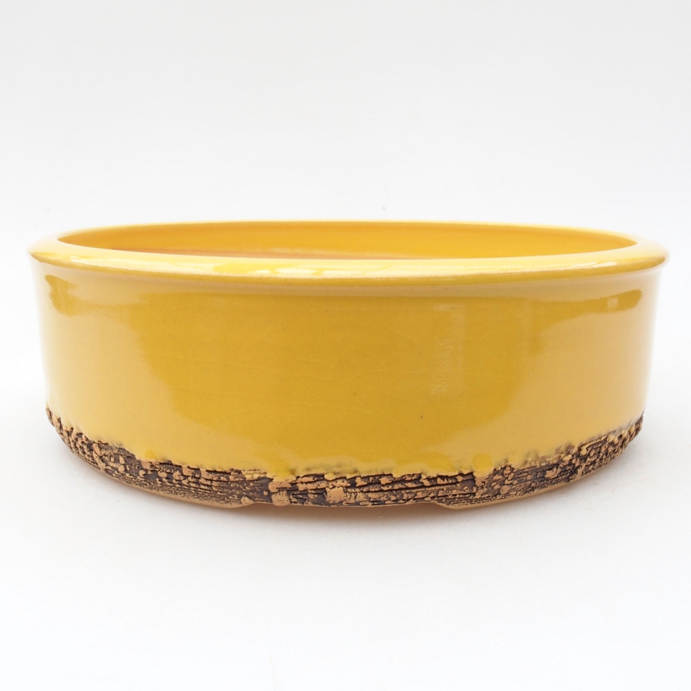 Ceramiczna miska bonsai 20,5 x 20,5 x 6 cm, kolor żółty