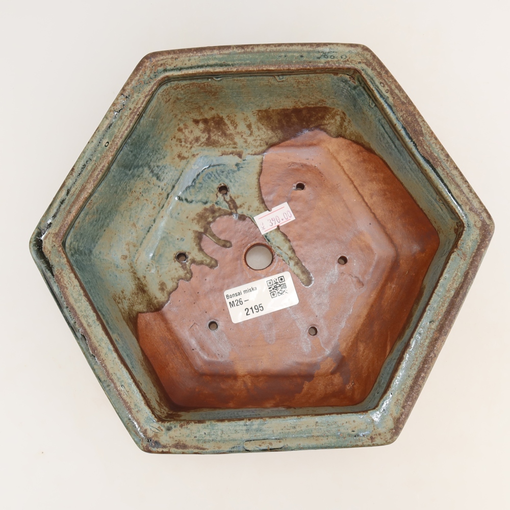 Ceramiczna miska do bonsai 24 x 21,5 x 7,5 cm, kolor brązowy