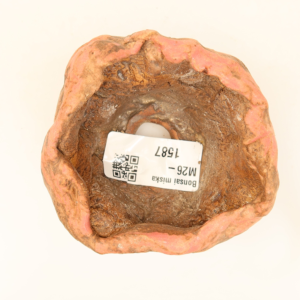 Ceramiczna skorupka  7 x 6 x 4,5 cm, kolor różowy