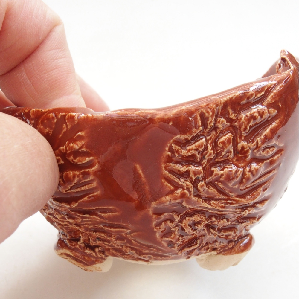 Muszla ceramiczna 7,5 x 7,5 x 6 cm, kolor brązowy