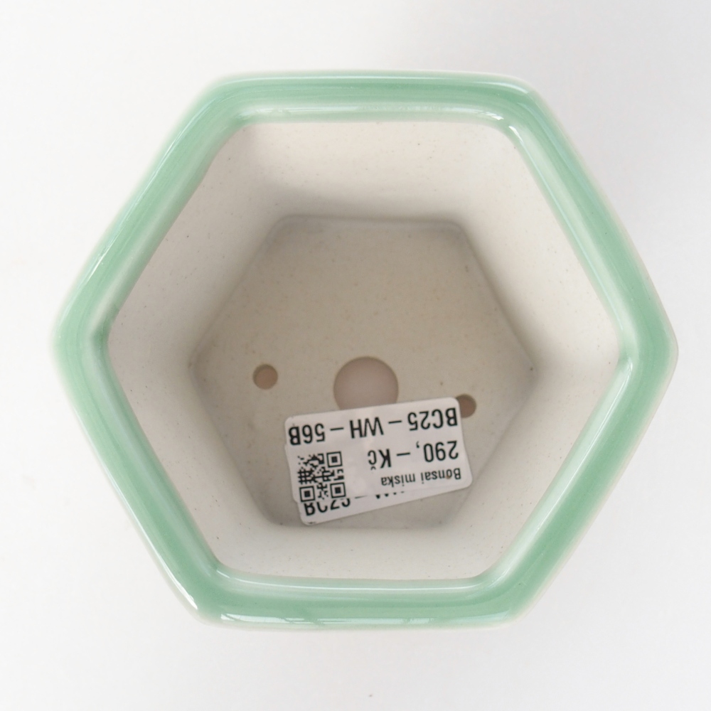 Ceramiczna miska do bonsai 10,5 x 9,5 x 8,5 cm, zielona