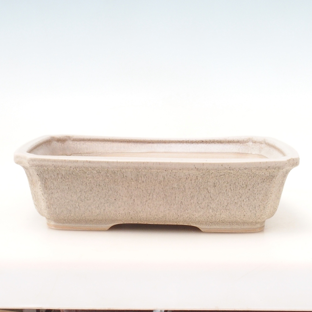 Bonsai bowl H07 - 30 x 20,5 x 8 cm. - beżowy