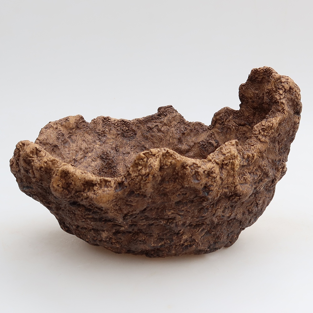 Ceramiczna skorupa 19,5 x 16 x 13 cm, kolor brązowy