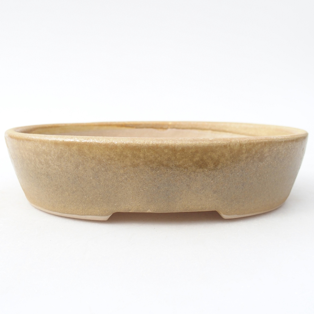 Ceramiczna miska na bonsai 17 x 13,5 x 4 cm, kolor beżowy