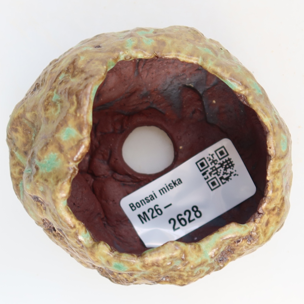 Ceramiczna skorupka  6,5 x 6,5 x 5,5 cm, kolor zielony