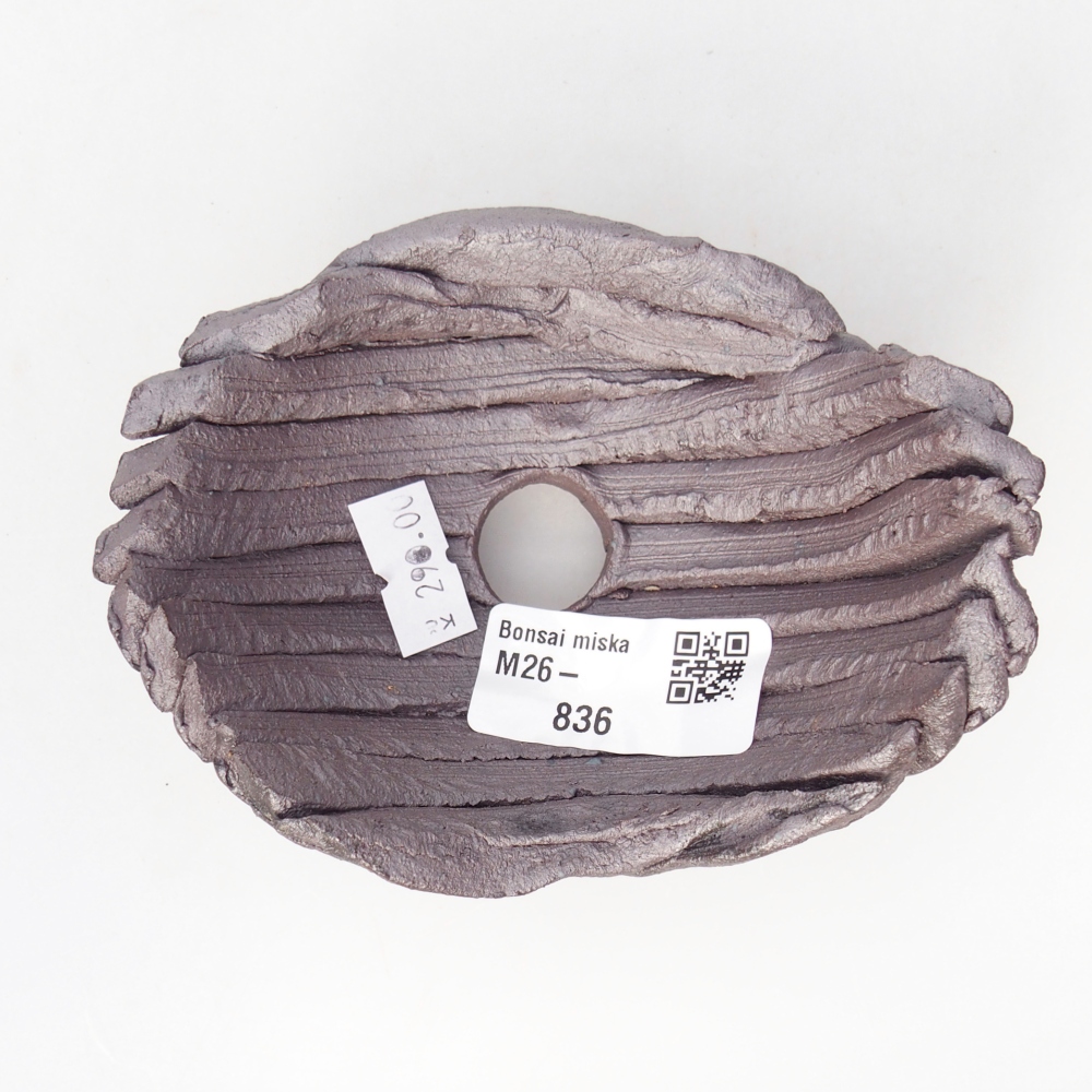 Muszla ceramiczna 11 x 8,5 x 6 cm, kolor metaliczny