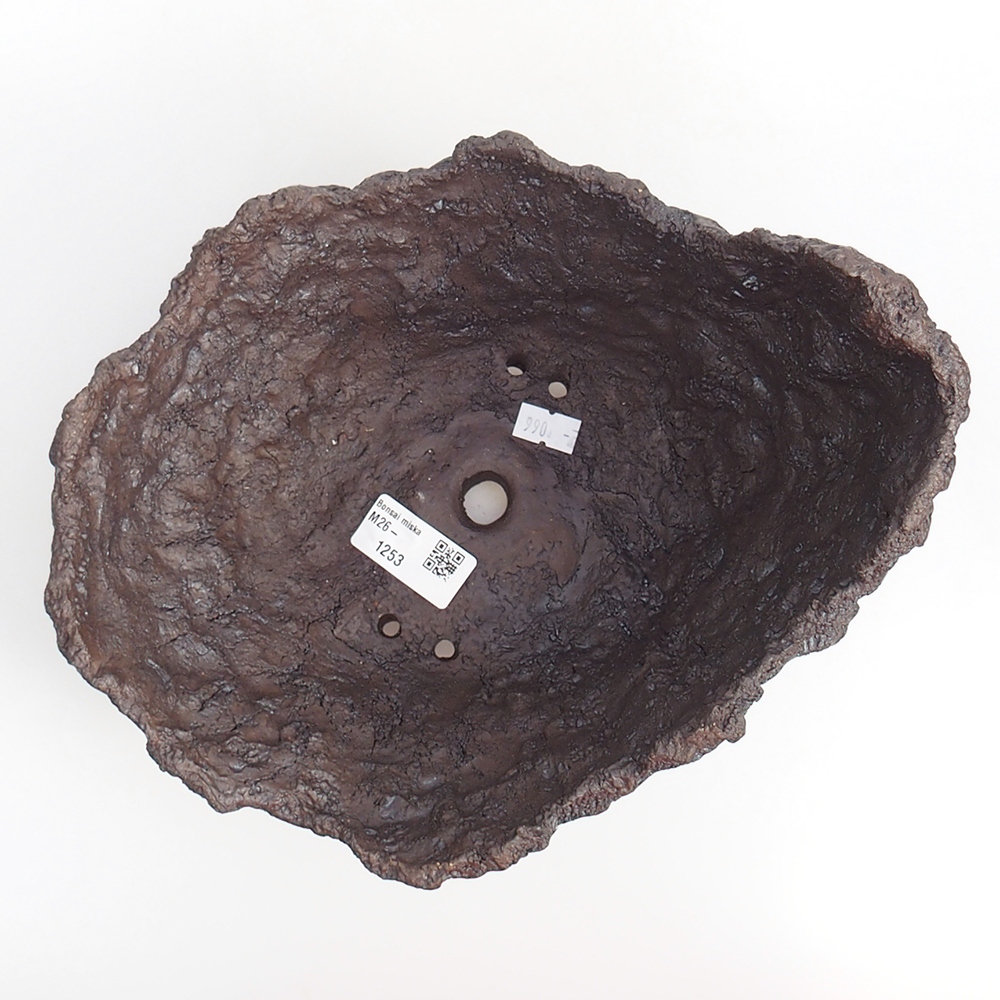 Ceramiczna skorupa 19 x 15 x 14 cm, kolor brązowy