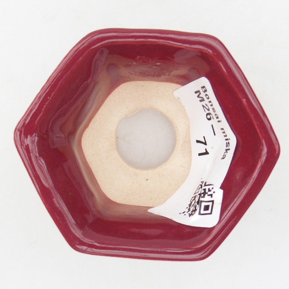 Mini miska do bonsai 5,5 x 5 x 3 cm, bordowa