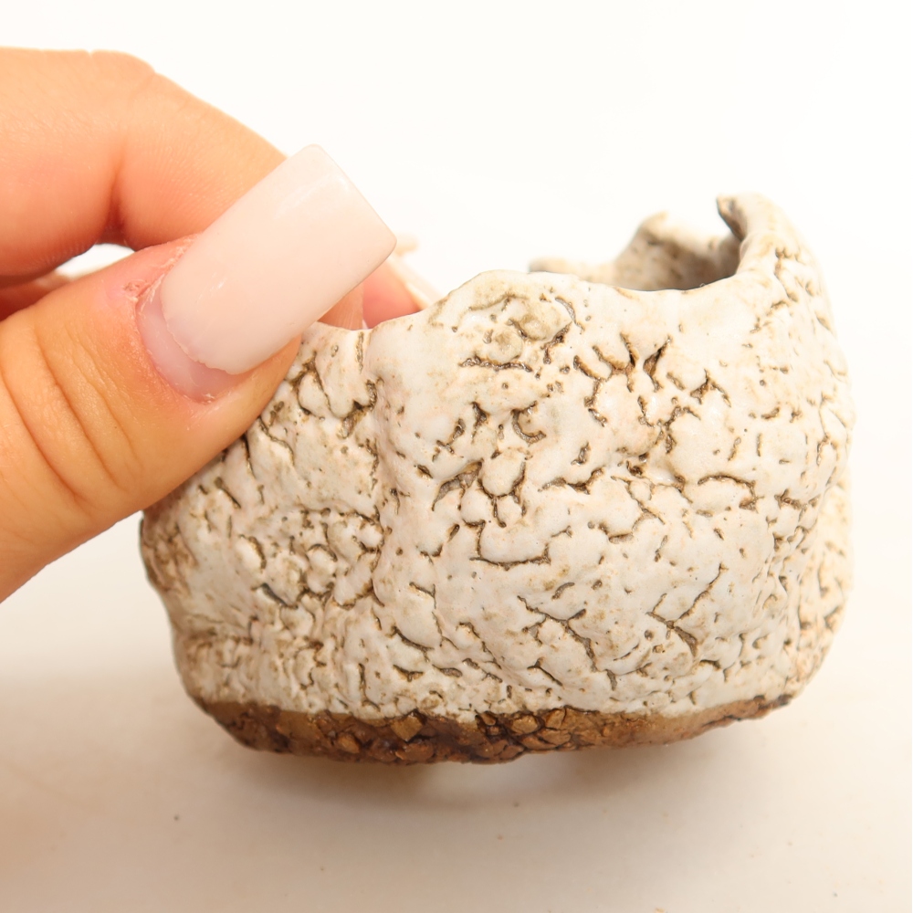 Ceramiczna skorupka  7 x 7 x 6 cm, kolor biały