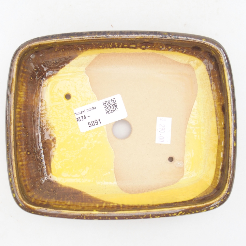 Ceramiczna miska bonsai 17 x 14 x 3,5 cm, kolor Żółty