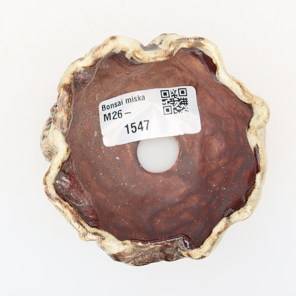 Ceramiczna skorupa  7 x 7 x 5 cm, kolor brązowo-biały
