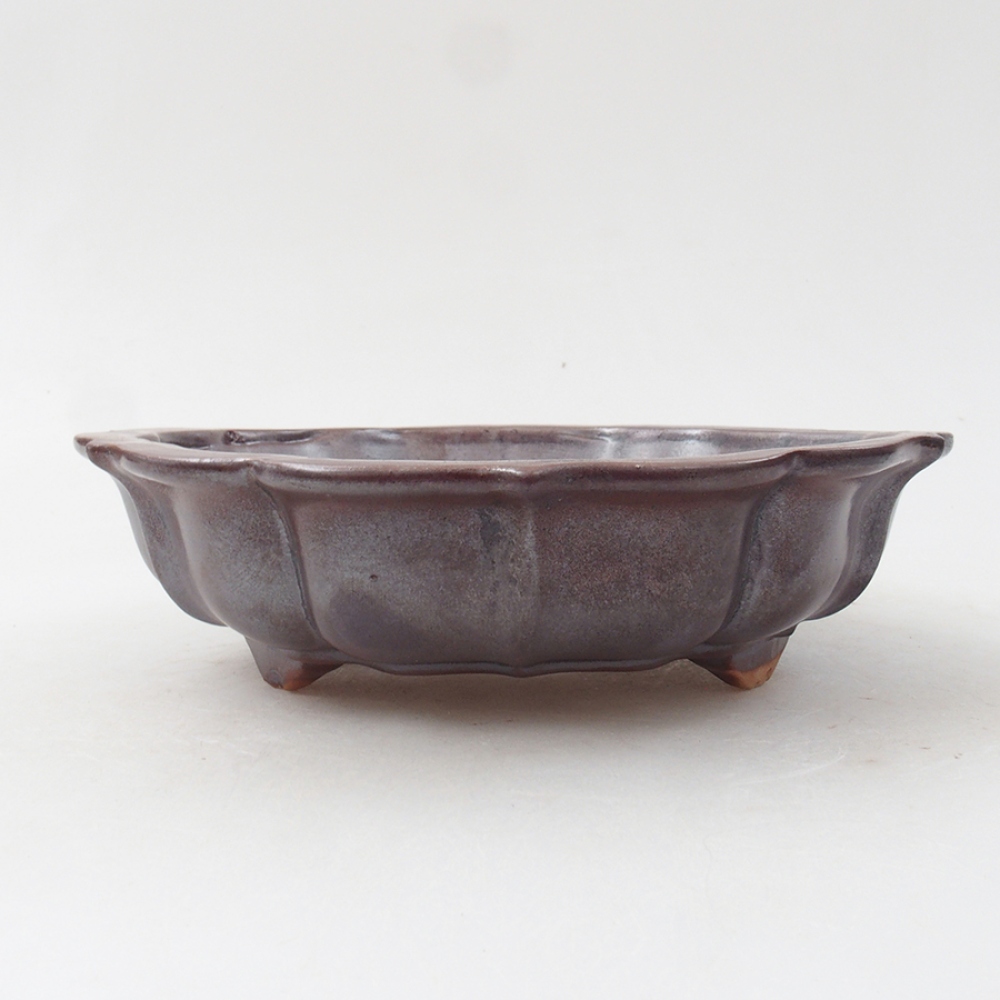 Ceramiczna miska bonsai 18 x 18 x 5 cm, kolor brązowy