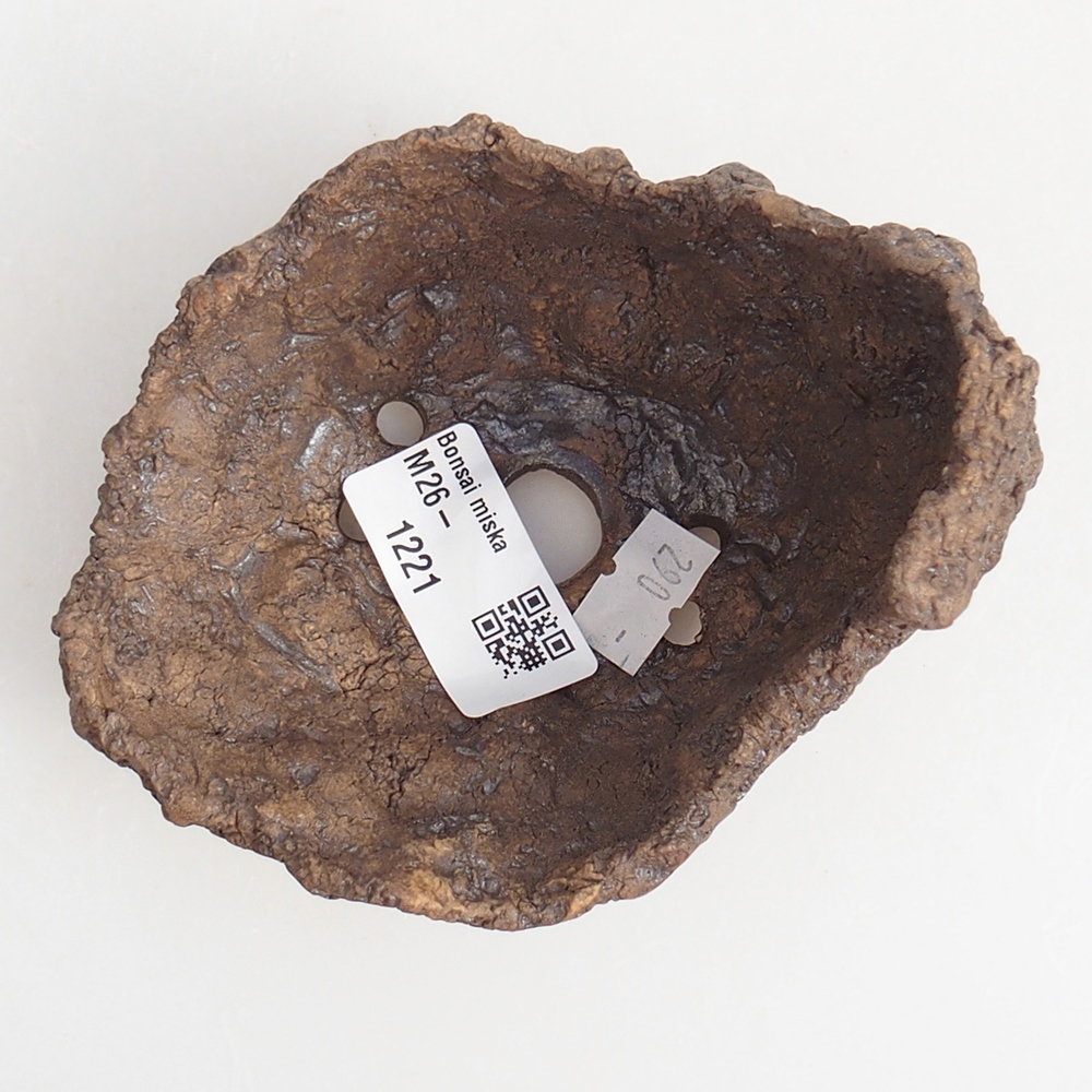 Ceramiczna muszla 10 x 8 x 9,5 cm, kolor brązowy