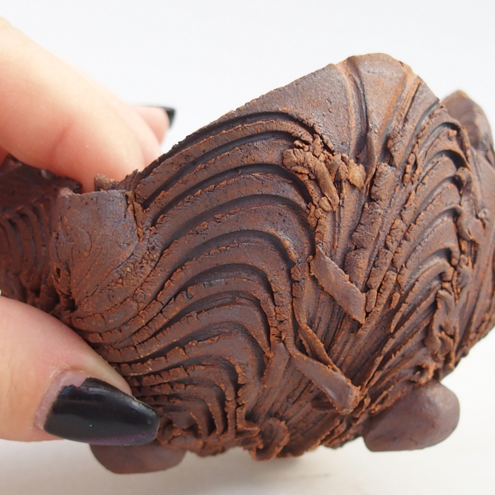 Ceramiczna muszla 8,5 x 8,5 x 6,5 cm, kolor brązowy