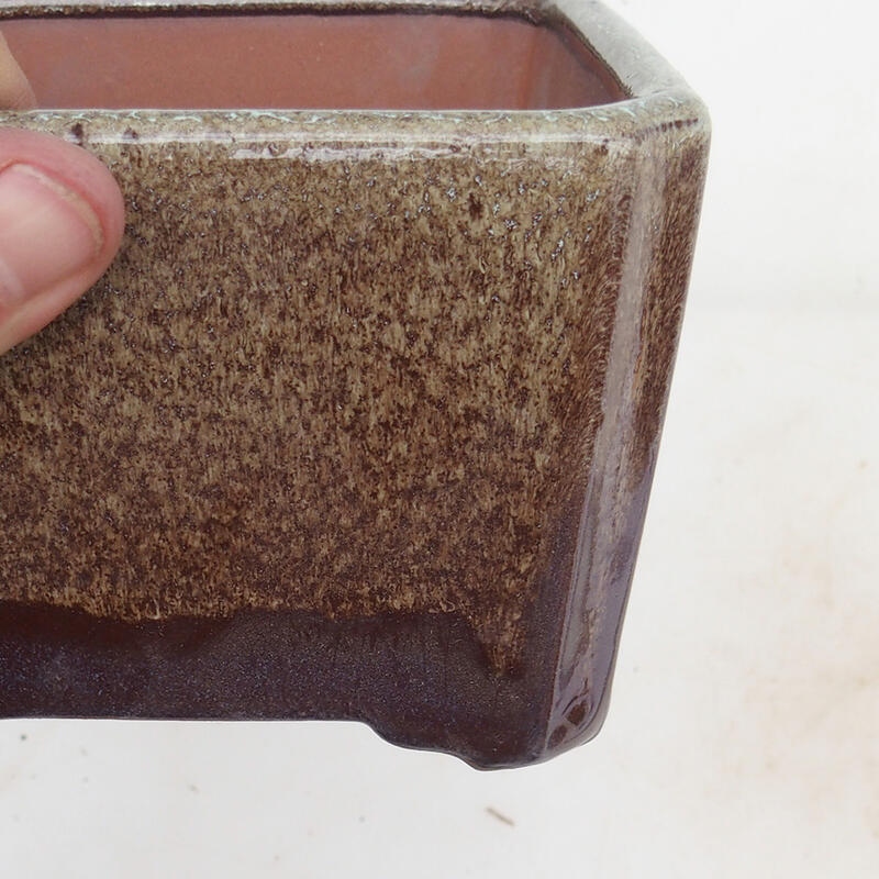 Miska Bonsai 12 x 12 x 8 cm, kolor brązowy