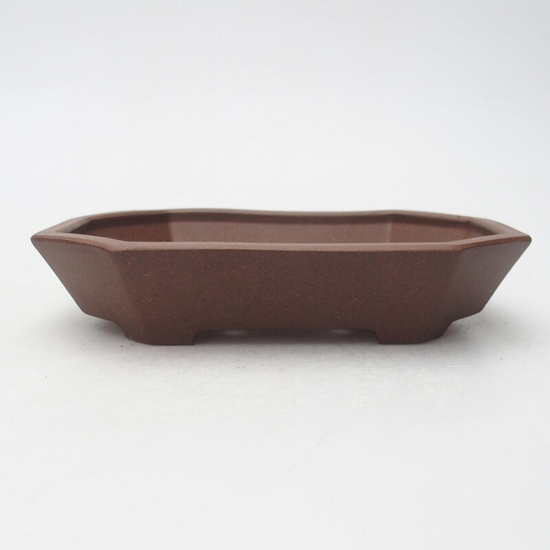 Miska Bonsai 14 x 10 x 3 cm, kolor brązowy