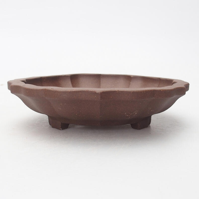 Miska Bonsai 14 x 14 x 3,5 cm, kolor brązowy