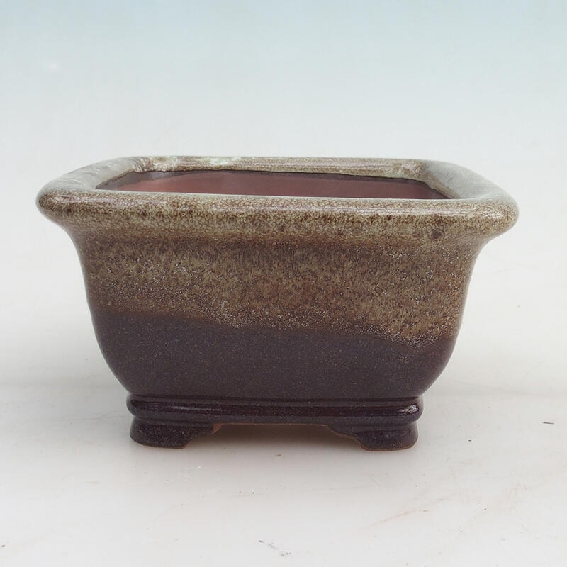 Miska Bonsai 14 x 14 x 8 cm, kolor bordowy